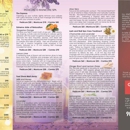 Print Web Studio - Web Site Design & Services