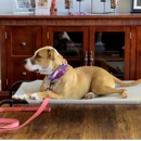 K9 AdvantEDGE Dog Training - Hostels
