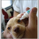 Pitman Animal Hospital - Veterinary Clinics & Hospitals