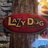 Lazy Dog Cafe gallery