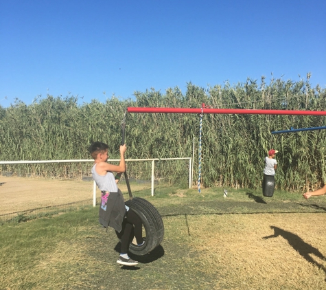 La Union Maze - Anthony, NM