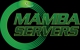 Mamba Servers - Computer Hardware & Supplies