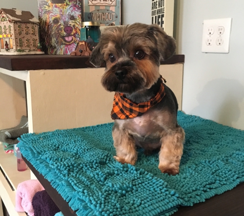 Animal House Grooming - Bowling Green, KY