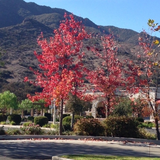 Jack in the Box - Agoura Hills, CA