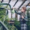EcoLogic Pest Control gallery