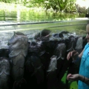 Texas Fresh Water Fisheries Center - Fish Hatcheries