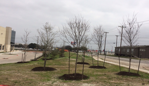 RAMIREZ TREES - Austin, TX