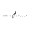 White Peacock gallery