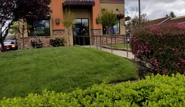 Taco Bell - Citrus Heights, CA