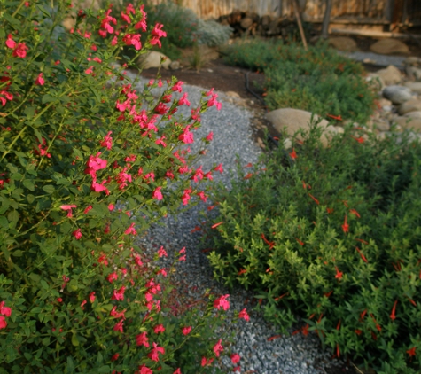 Quercus Landscape Design - Springville, CA