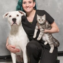 Spring Meadows Animal Hospital - Veterinarians