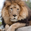 San Diego Ride & Tours - Sightseeing Tours