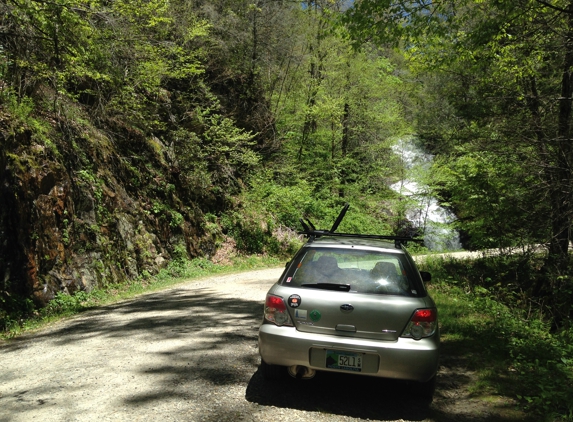 Organic Mechanic - Asheville, NC. OM keeps days like this possible :)