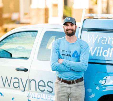 Waynes Pest Control - Chattanooga, TN