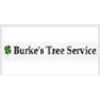 Burke's Tree Service gallery