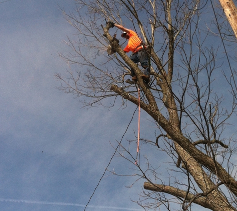 H & L Tree Service - Red Springs, NC