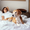 Crowne Plaza College Park - Washington DC by IHG gallery