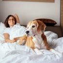 Crowne Plaza College Park - Washington DC by IHG - Hotels