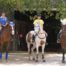 Windswept Farm - Horse Boarding