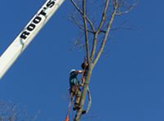 Quinlan Tree Service - Milford, MI