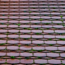 Dynasty Roofing - Roofing Contractors