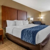 Comfort Inn & Suites Lordsburg I-10 gallery