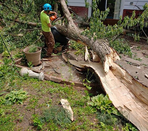 Hometown Lawn & Tree Service - Chardon, OH