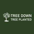 Tree Down Tree Planted