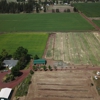 Basaltic Garlic Farm gallery