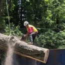 Metcalf Tree & Landscape Svc - Stump Removal & Grinding