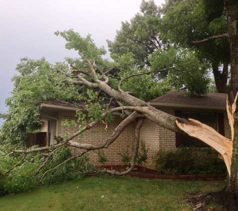 BP Trees, LLC - Tulsa, OK