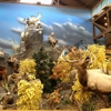 Cabela's gallery