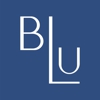 Blu on the Hudson gallery