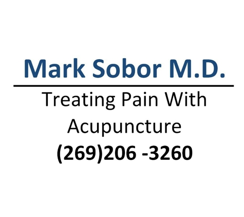 Mark Sobor, MD - South Haven, MI