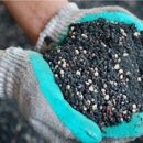 Roswell Seed