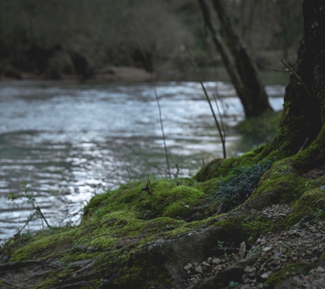 Turkey Creek Nature Preserve - Pinson, AL