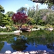 Earl Burns Miller Japanese Garden