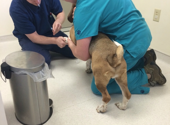 State College Veterinary Hospital - State College, PA