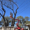 Centex Tree Solutions gallery