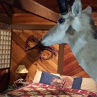 Deer Crossing Bed & Breakfast