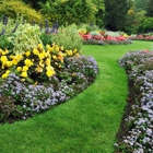 Shamrock's Landscaping & Lawn Care