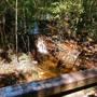 The Robert Trent Jones Golf Trail at Magnolia Grove