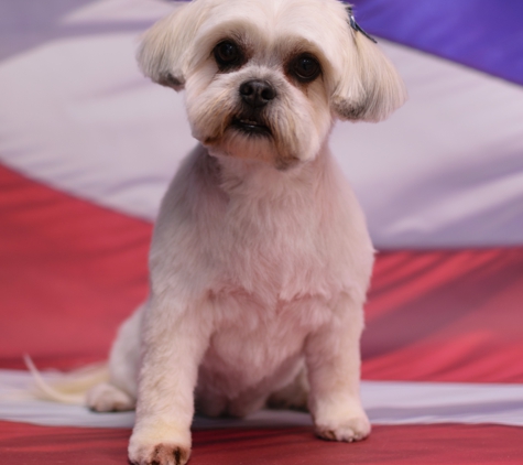 Shear Quality Pet Grooming - Shelby Township, MI