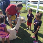 London Dairy Alpacas