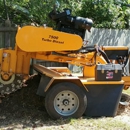 Bay Tree Care - Stump Removal & Grinding
