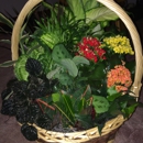Kathy's 2nd Chance Plants - Florists