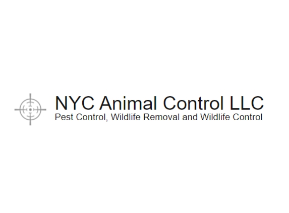 NYC Animal Control - Brooklyn, NY