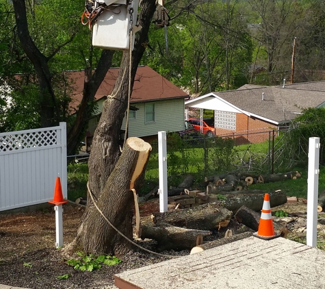 Chop Chop Tree - Atlanta, GA