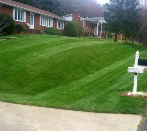 Wise Choice Lawn Care & Landscaping