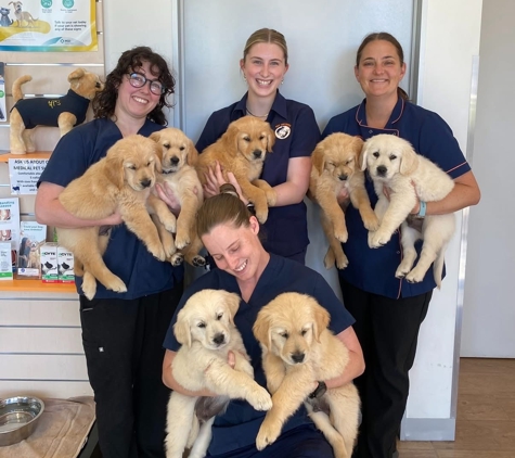 Pet Universe - Manningham, SA
